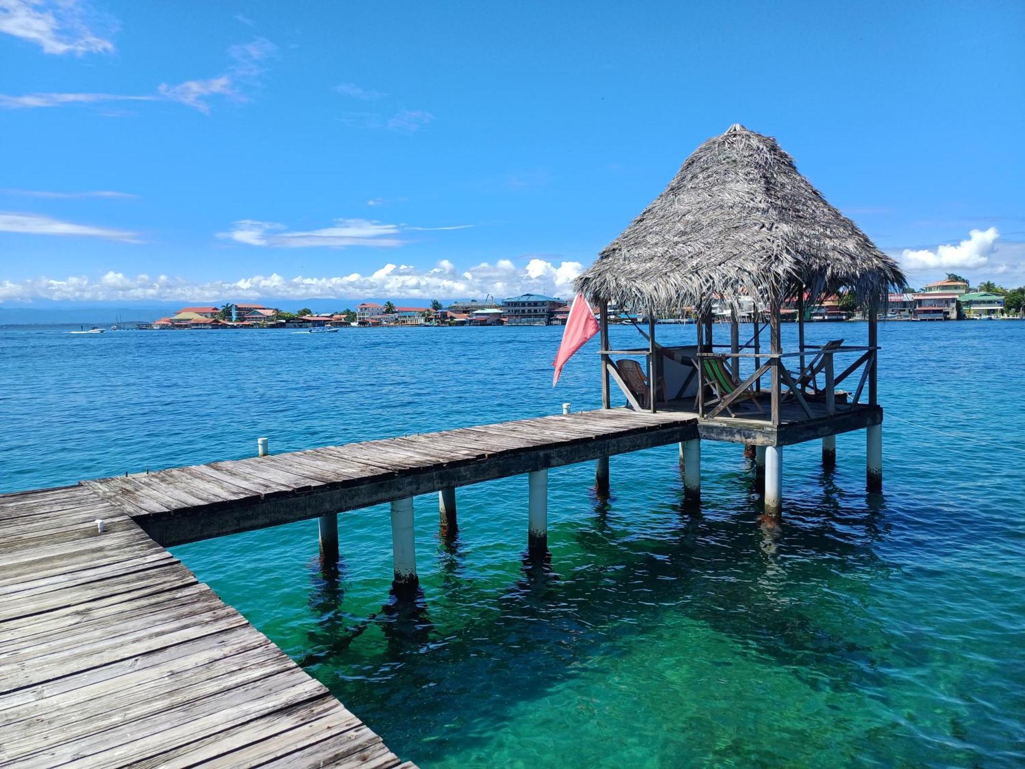 Dive And Surf 3 Apartment Bocas Town Exterior photo