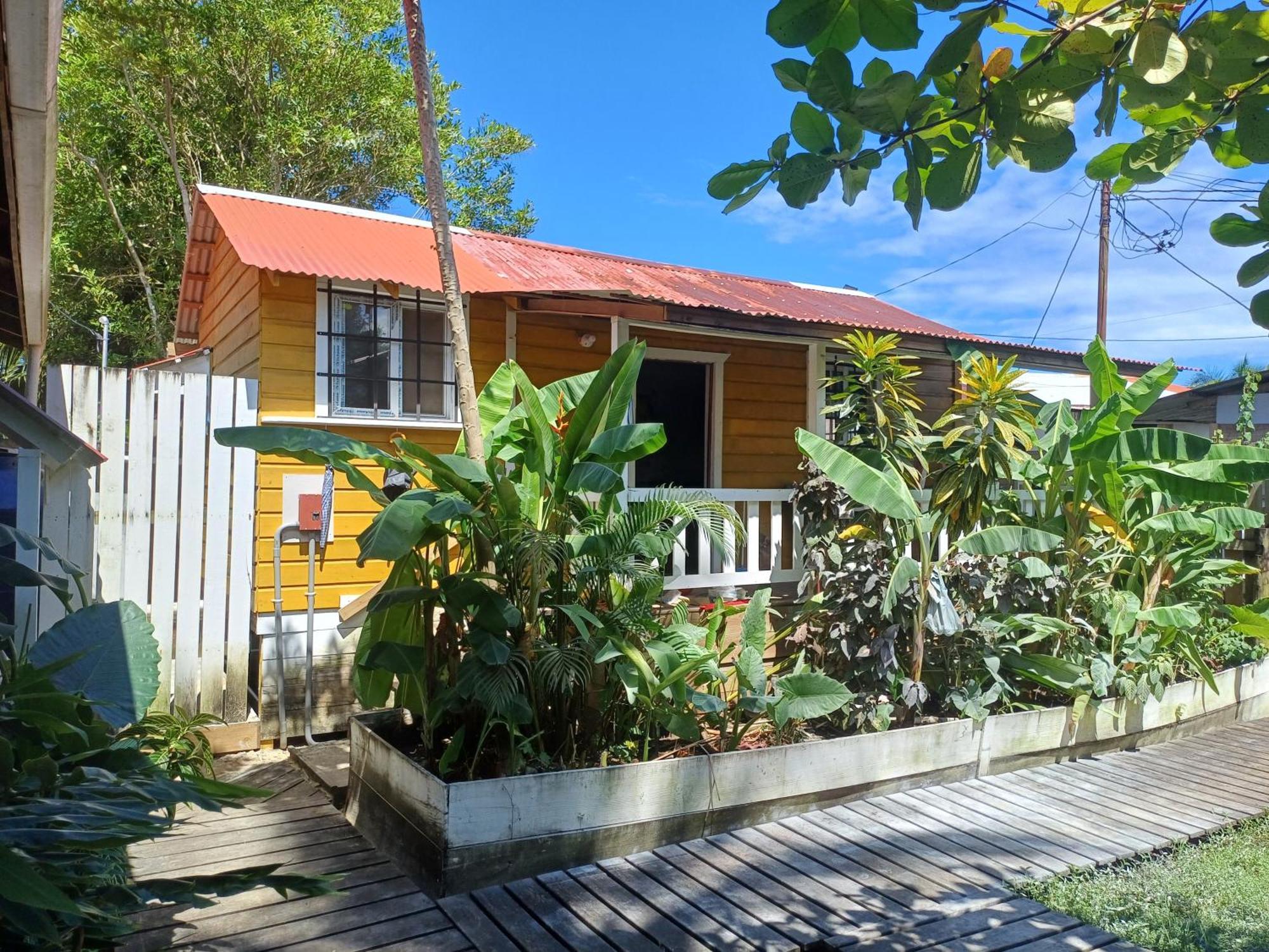 Dive And Surf 3 Apartment Bocas Town Exterior photo